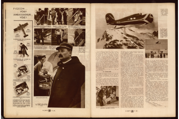 Vu n°295 - numéro spécial - 11 novembre 1933